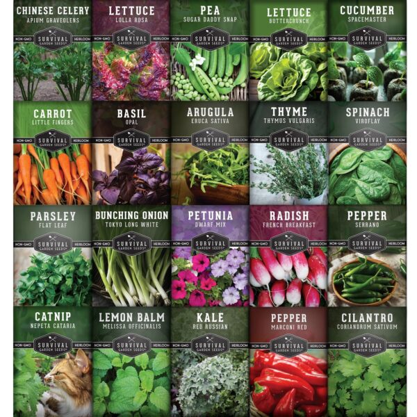 Apartment Seed Kit - 20 Packs Non-Gmo Heirloom Vegetable Seeds - Container Friendly Part & Full Sun