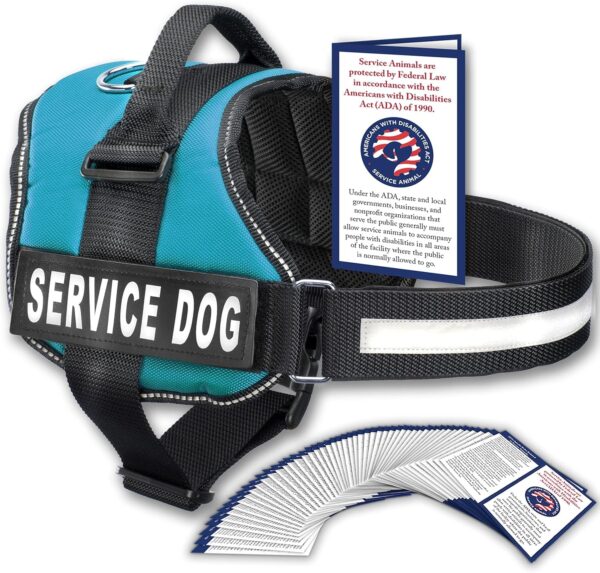 Service Dog Vest with Hook and Loop Straps and Handle - Harness Is Available in 8 Sizes from XXXS to XXL - Service Dog Harness Features Reflective Patch and Comfortable Mesh Design (Blue, XL)