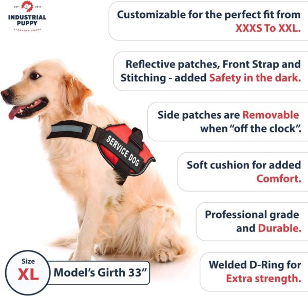 Service Dog Vest with Hook and Loop Straps and Handle - Harness Is Available in 8 Sizes from XXXS to XXL - Service Dog Harness Features Reflective Patch and Comfortable Mesh Design (Blue, XL)