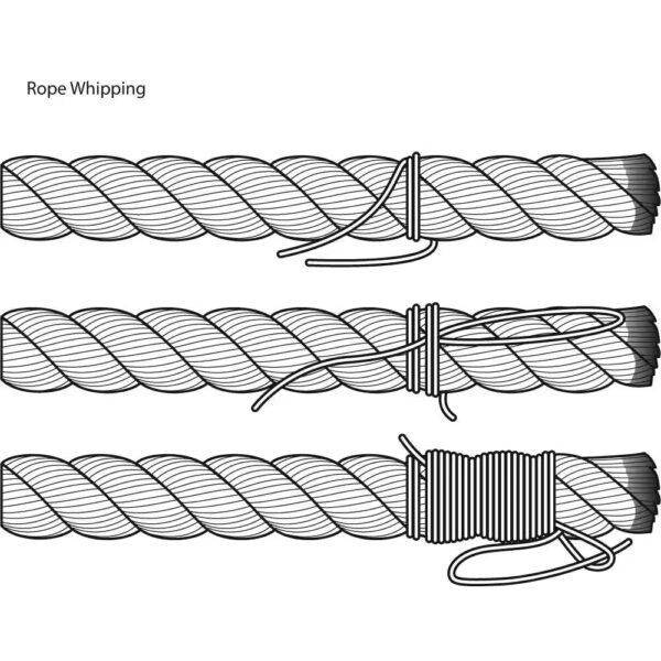 1/8 In. X 50 Ft. Black Paracord Rope