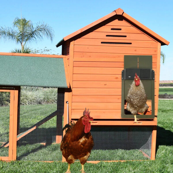 Automatic Chicken Coop Door Opener Battery Powered Light Sense Control Waterproof Pet Flap Accessories Upgrade ABS House Gate