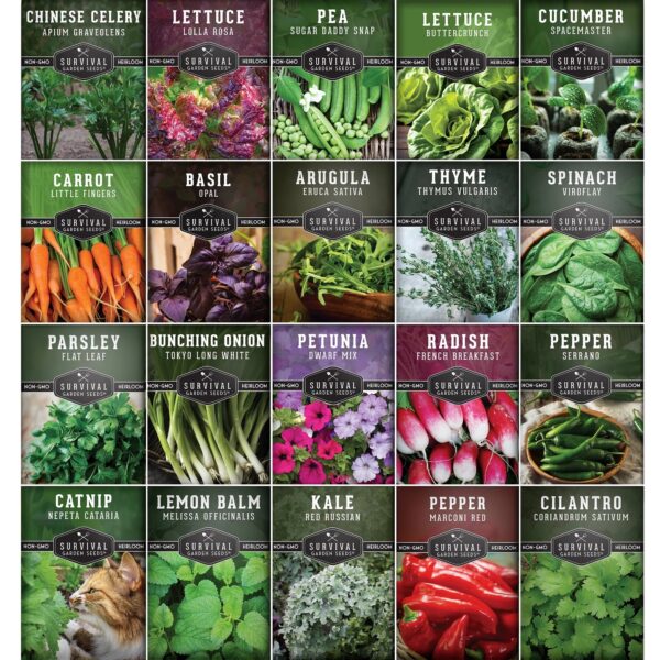 Apartment Seed Kit - 20 Packs Non-Gmo Heirloom Vegetable Seeds - Container Friendly Part & Full Sun