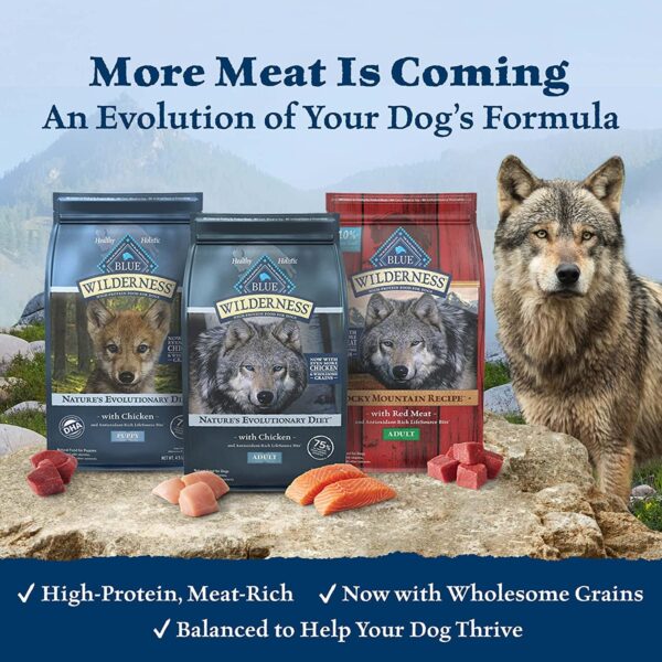 Wilderness High Protein Natural Adult Dry Dog Food plus Wholesome Grains, Chicken 24-Lb