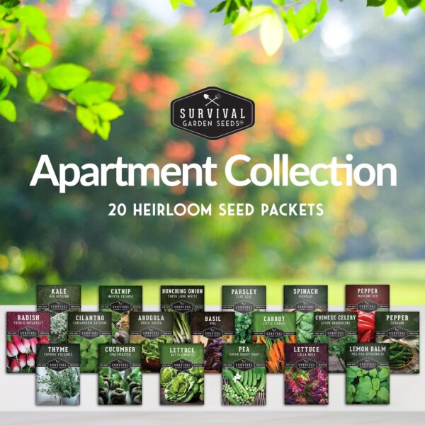 Apartment Seed Kit - 20 Packs Non-Gmo Heirloom Vegetable Seeds - Container Friendly Part & Full Sun