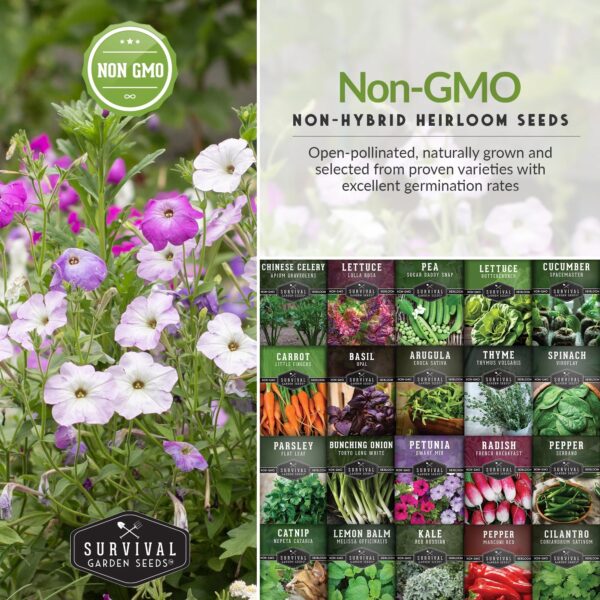 Apartment Seed Kit - 20 Packs Non-Gmo Heirloom Vegetable Seeds - Container Friendly Part & Full Sun